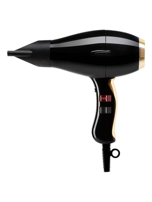 Elchim 3900 HEALTHY IONIC